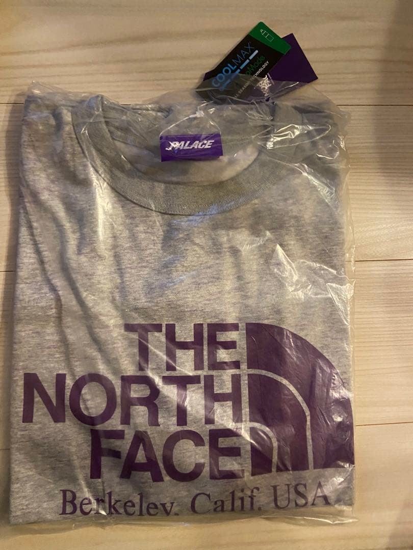 PALACE The North Face Graphic Tシャツ　グレー　M