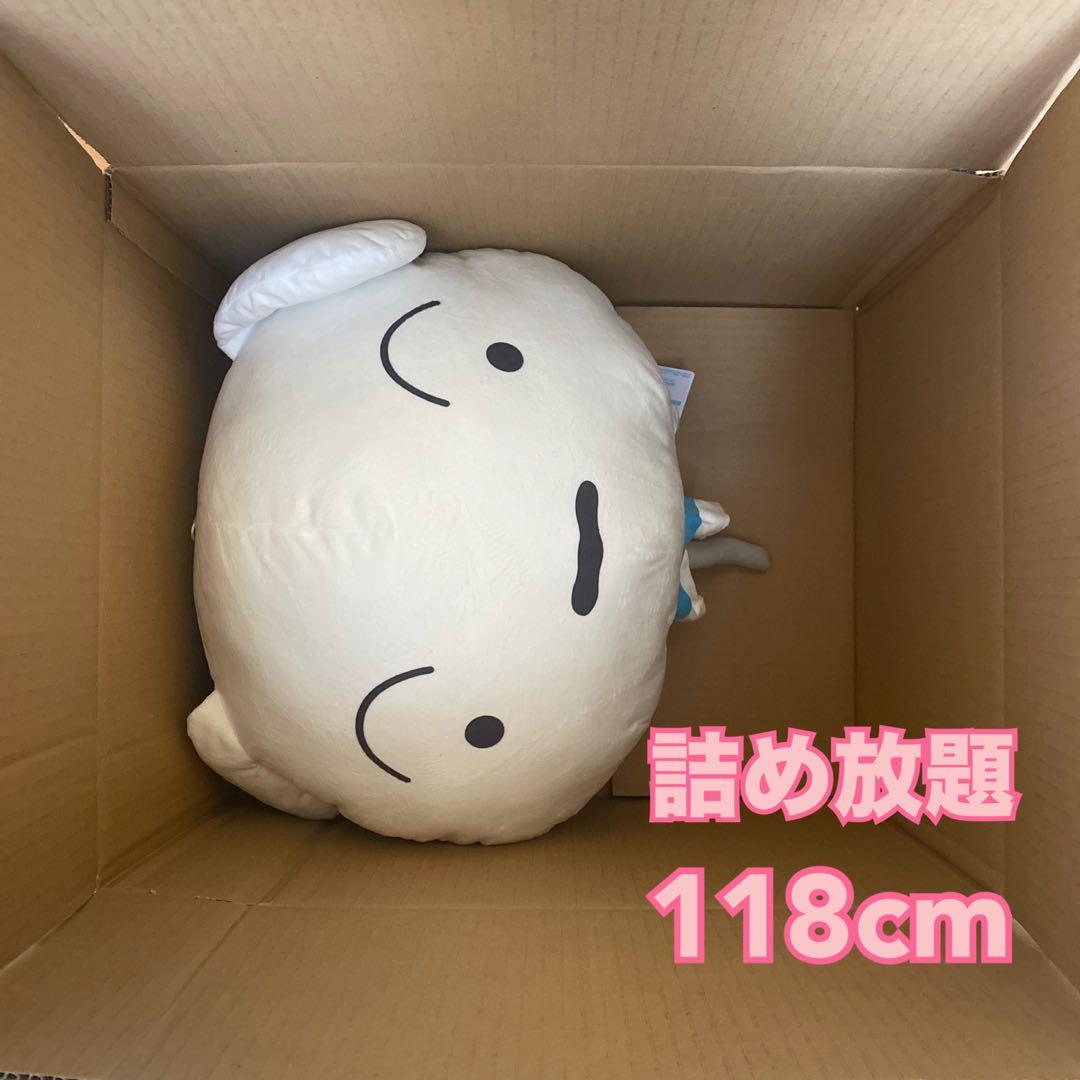 詰め放題　118cm 先入あり