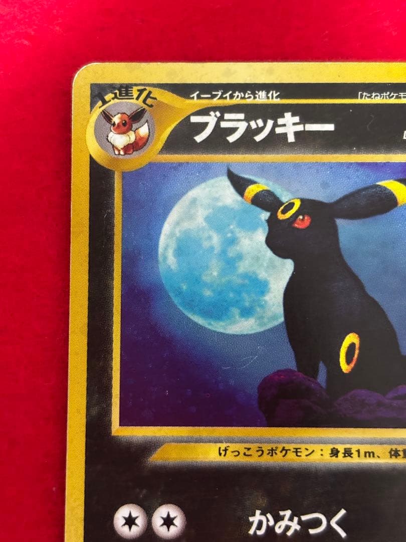 ② ポケモンカード ブラッキー 旧裏面 遺跡をこえて… No.197