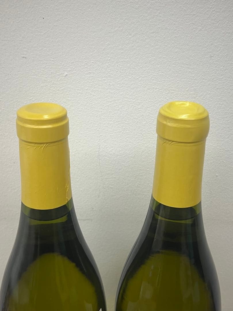 ドメーヌ ルロワ コトーブルギニョン ブラン 2017 クール（チルド発送可）