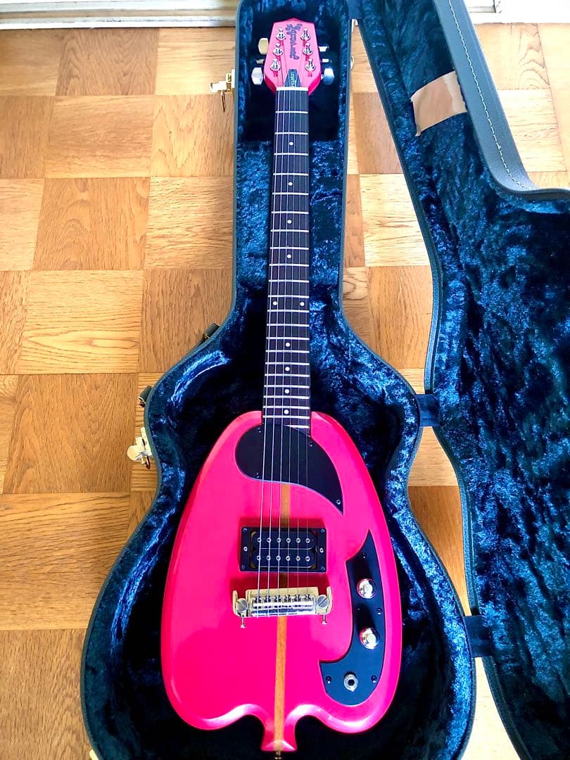 超希少！珍品HSアンダーソン-ヒューストン