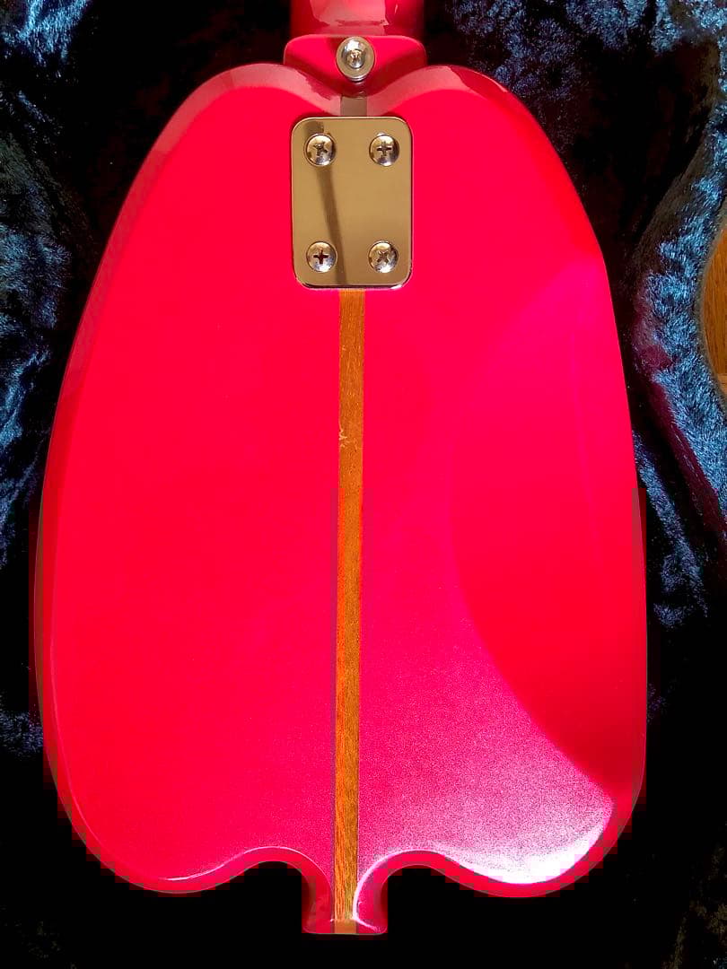 超希少！珍品HSアンダーソン-ヒューストン