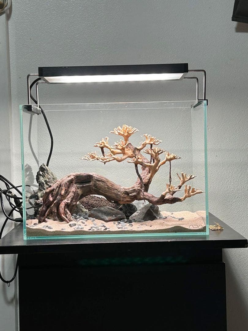 アクアリウム用 流木ボンサイ レイアウト素材