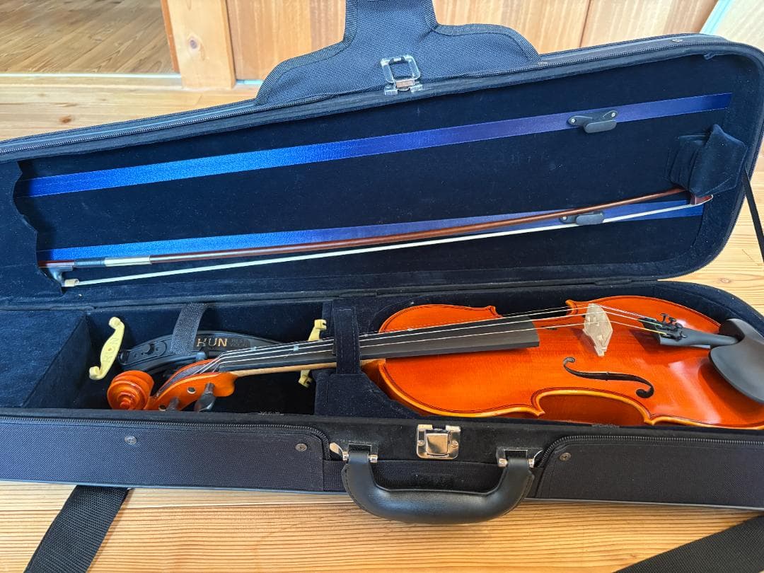 ヴァイオリン Eastman Strings VL80 4/4 2021年