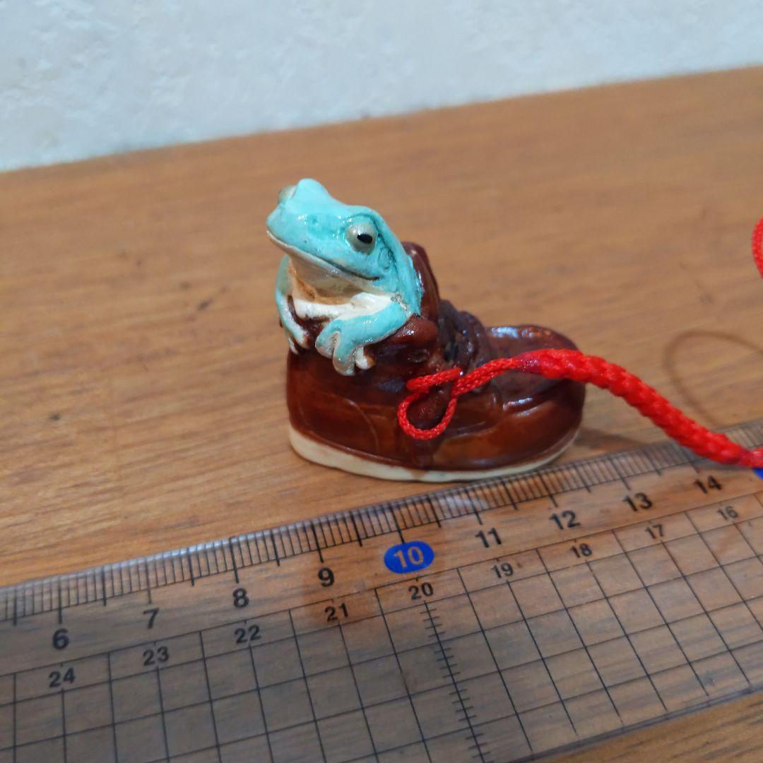 【おもちゃの靴に入って寛ぐイエアメガエル 根付】有名原型師製作品 手塗り一点物