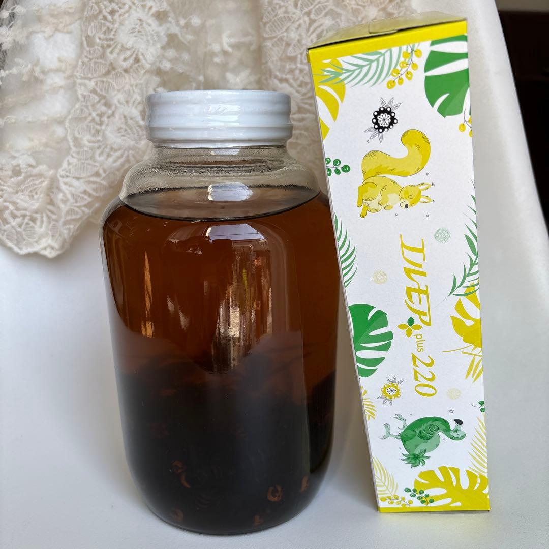 スズメバチの焼酎漬け　大瓶