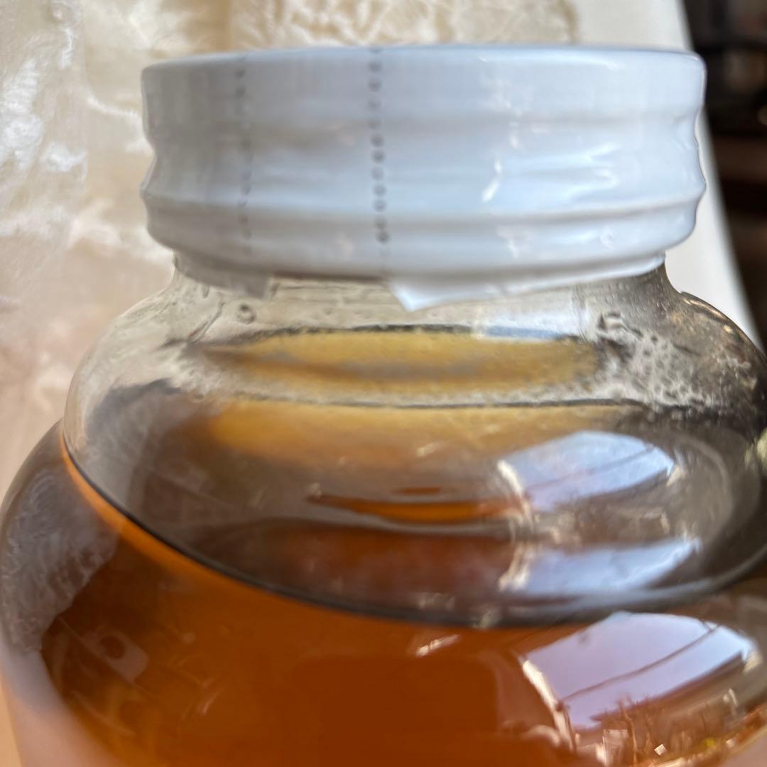 スズメバチの焼酎漬け　大瓶