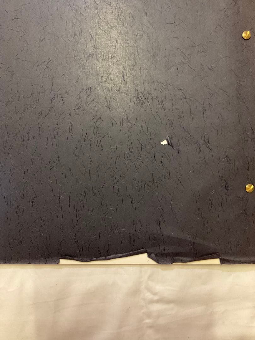 レア！distinction men's bigi ALASTAIR THAIN