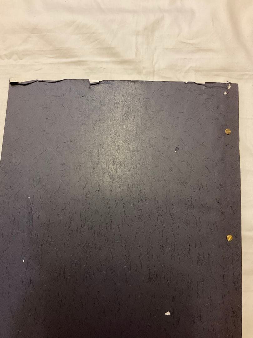 レア！distinction men's bigi ALASTAIR THAIN