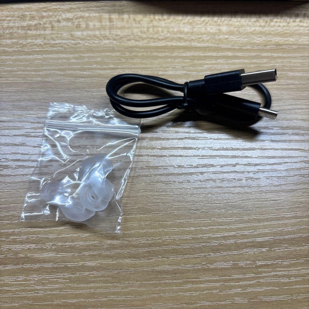 【廃版レア】AVIOT 葬送のフリーレン　専用ボイス　ワイヤレスイヤホン　グッズ