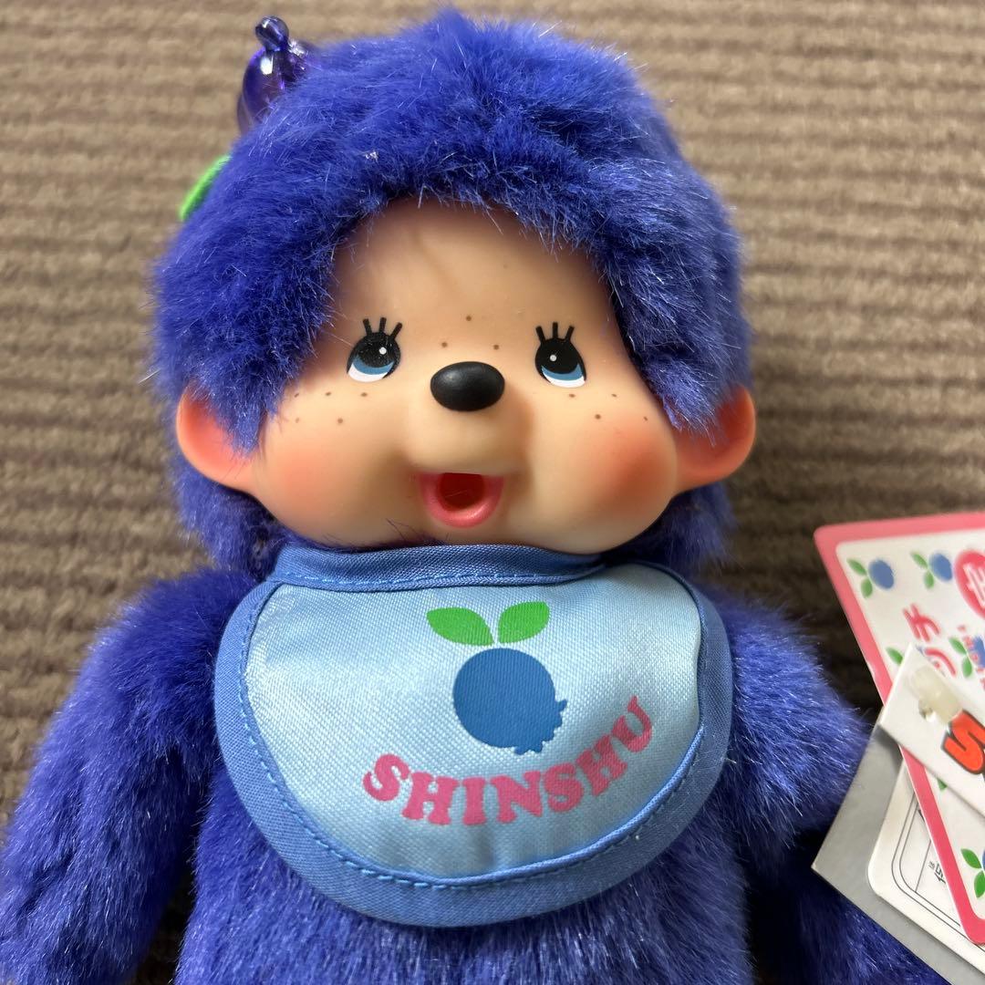 ご当地　信州限定　モンチッチ　未使用