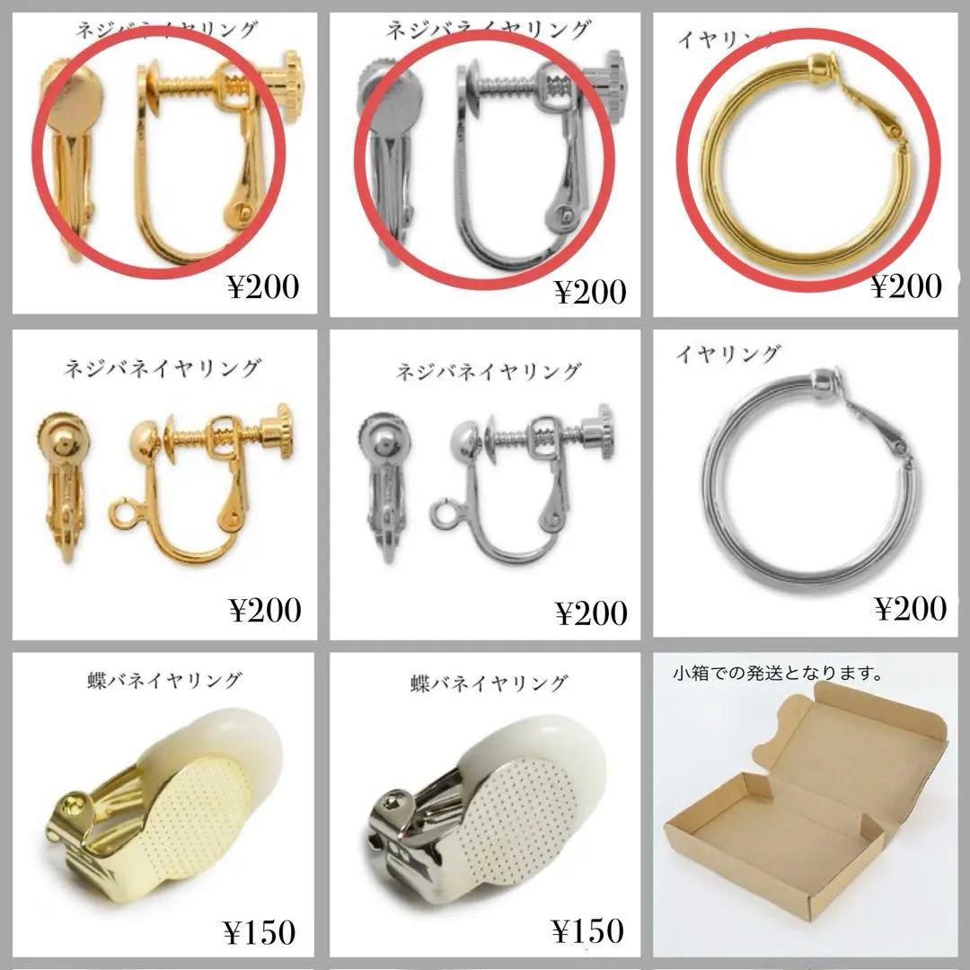 橙ママ様♡専用ページ〔ネジバネイヤリング〕