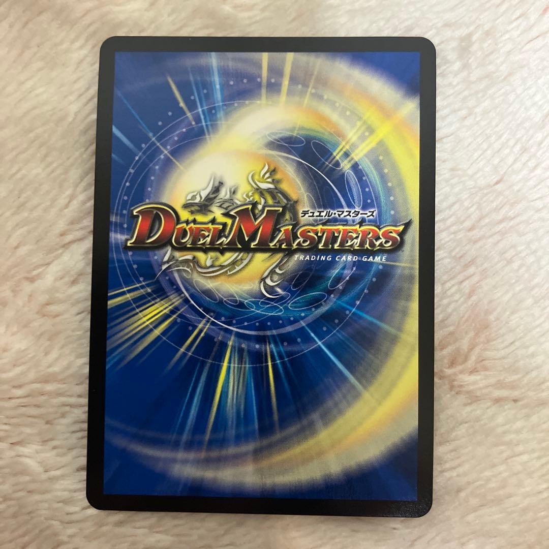 パーフェクトコールドフレイムアトリエ1枚