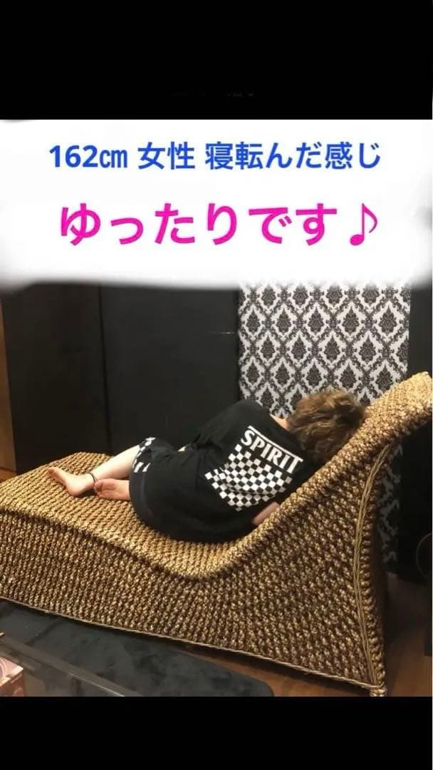 希少♦️ウォーターヒヤシンス♦️高級サンベット♦️シェーズロング 2脚セット♦️着払い