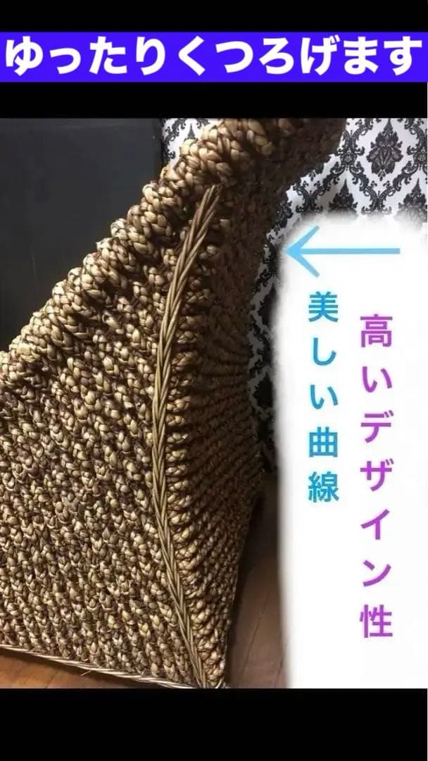 希少♦️ウォーターヒヤシンス♦️高級サンベット♦️シェーズロング 2脚セット♦️着払い