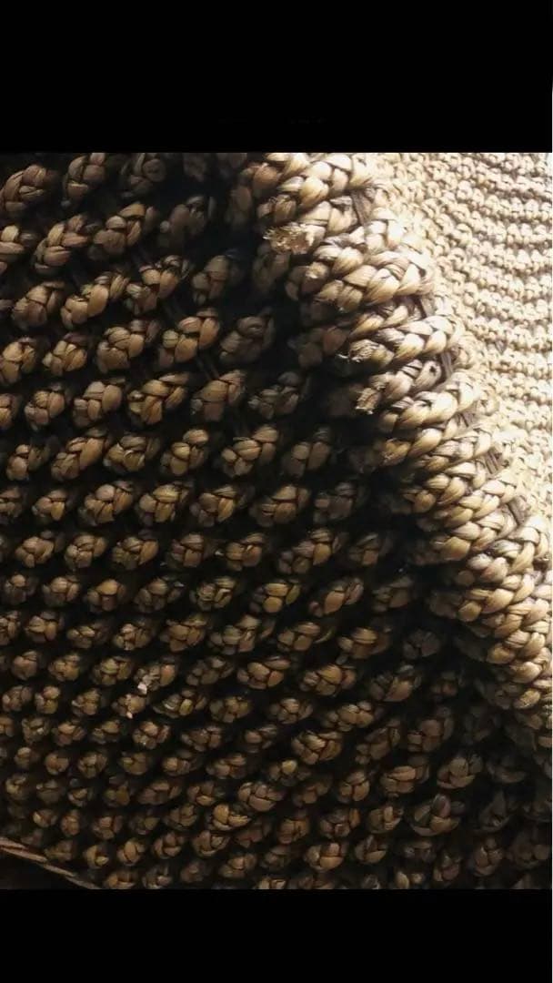 希少♦️ウォーターヒヤシンス♦️高級サンベット♦️シェーズロング 2脚セット♦️着払い