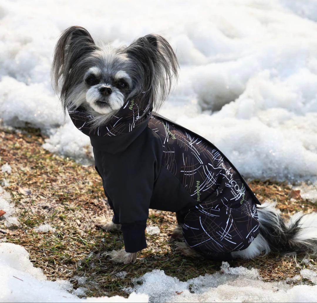 DOG GUARD AIR　ドッグガード・エア　COSMOS×MINT S