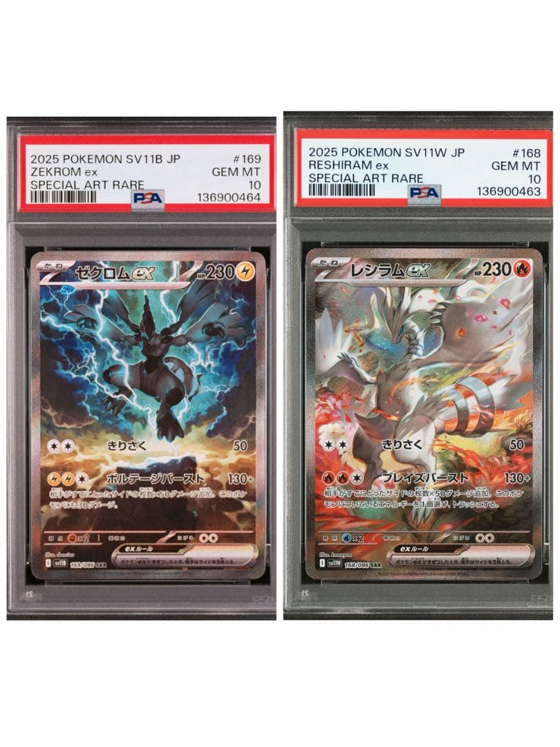 ポケモンカードゲーム ZEKROM/RESHIRAM EX SAR PSA10