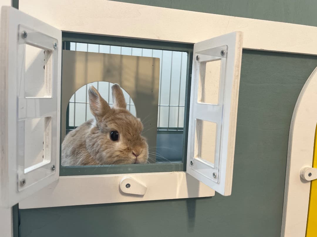 【もちつき】弐番館　北欧デザインペットハウス　うさぎ用ケージ