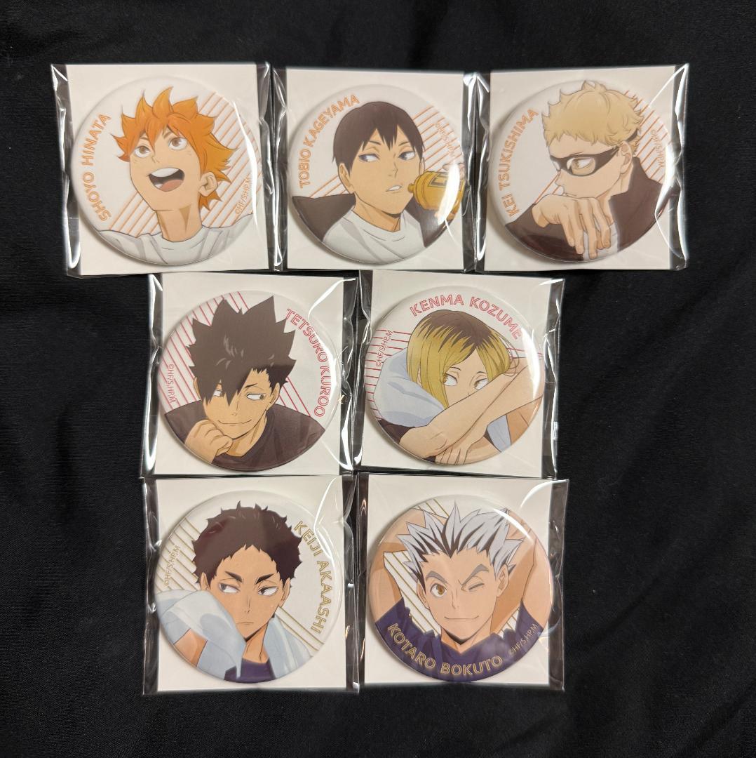 ハイキュー クールダウン 烏野 音駒 梟谷 缶バッジ