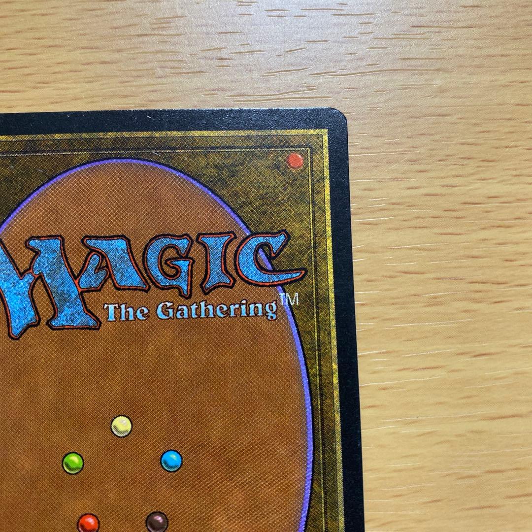 マジック：ザ・ギャザリング MTG Savannah