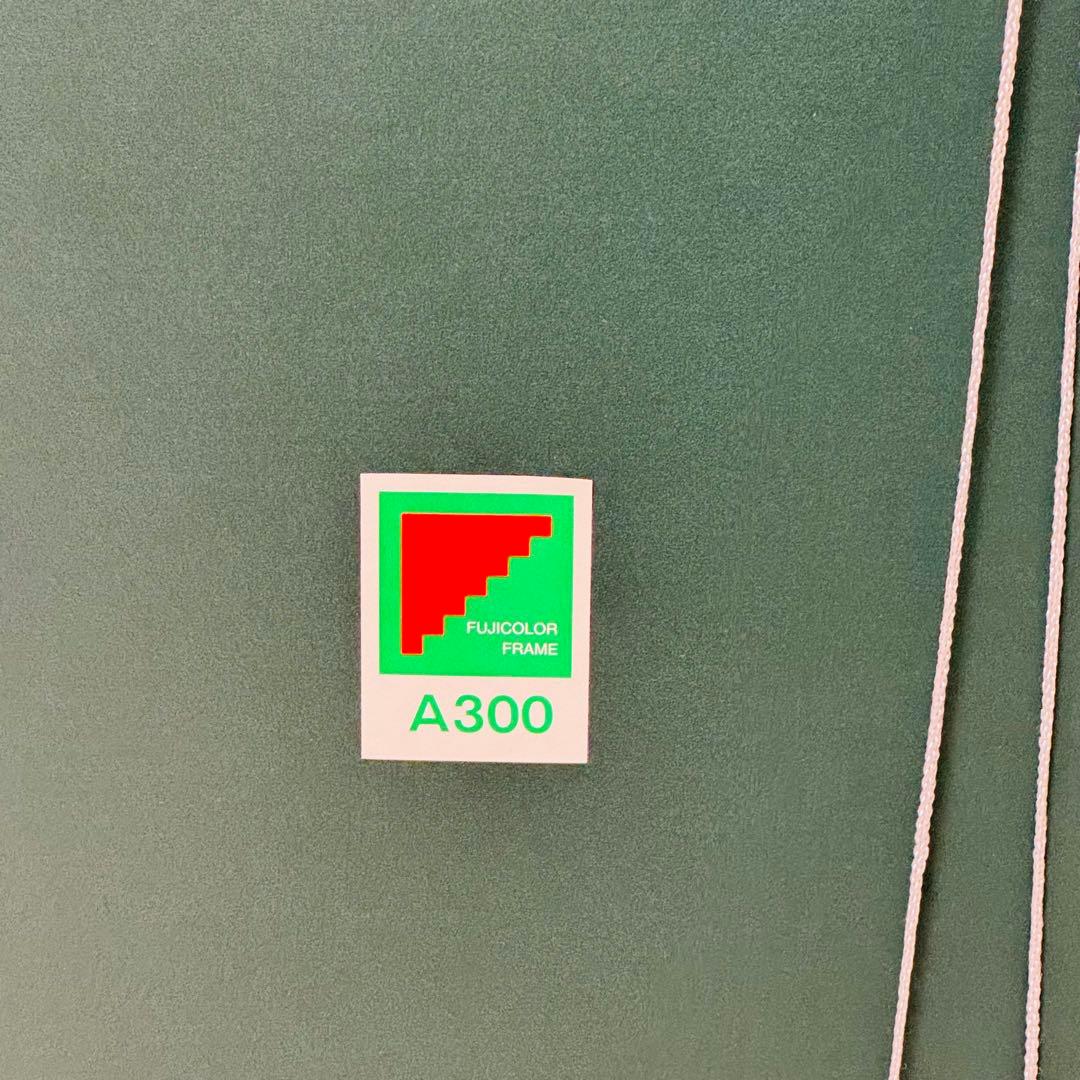 【10枚あり！】フジカラー A300 全紙 アルミ額縁