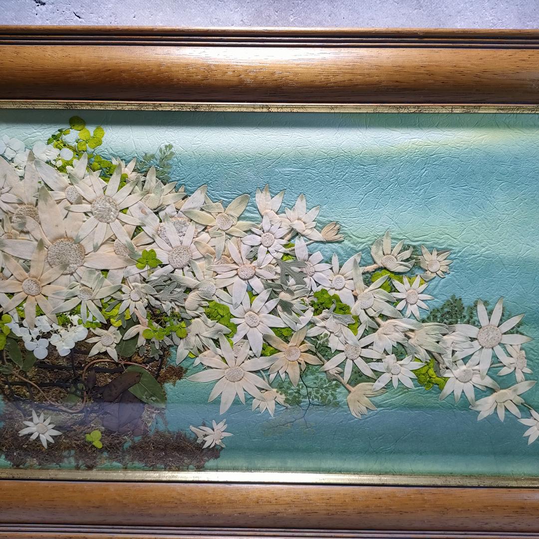 押し花専用額 押し花アート 不思議な花倶楽部 横長 花カゴ