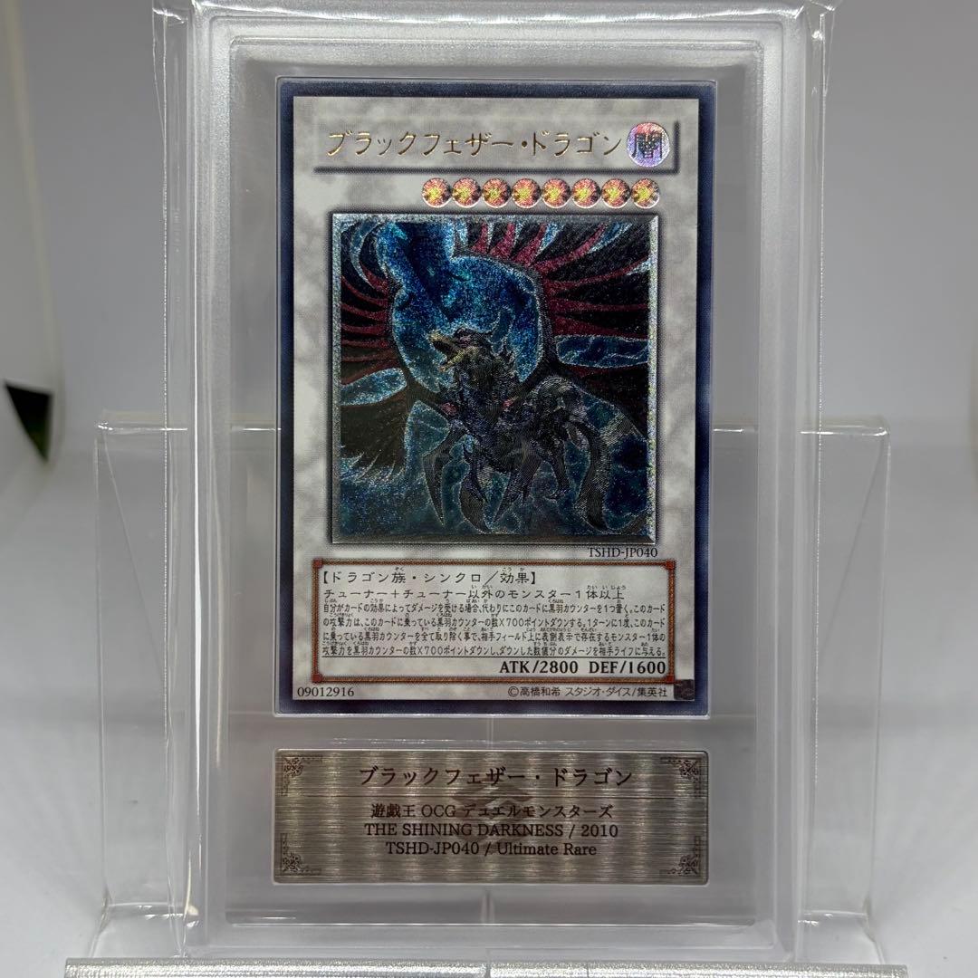 みき様　【ARS10】 ブラックフェザードラゴン　レリーフ