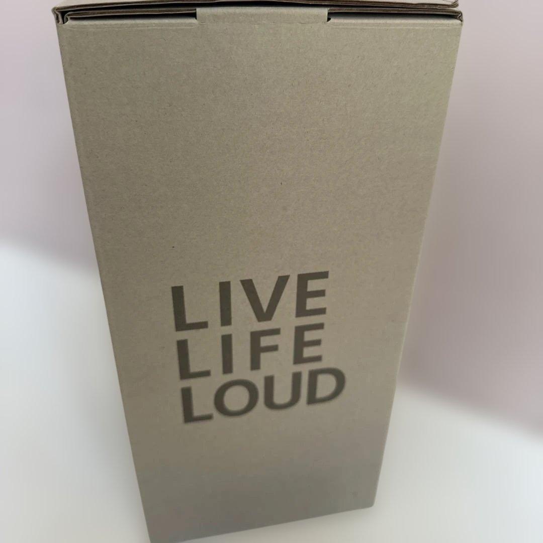 美品 SONY SRS-XE300 ワイヤレススピーカー