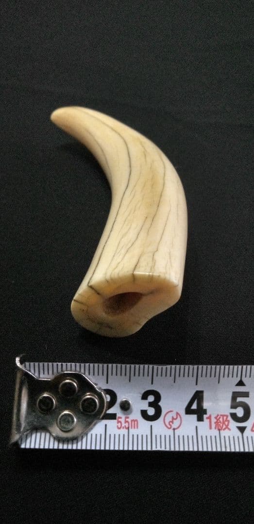 マッコウ鯨の牙、装飾用材料、根付け材、