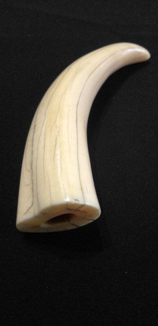 マッコウ鯨の牙、装飾用材料、根付け材、
