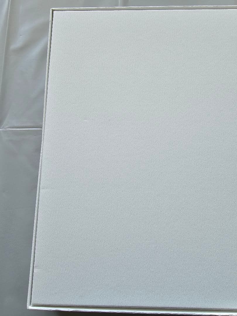 鬼滅の刃　柱稽古編　幕間画集　豪華版　冨岡義勇