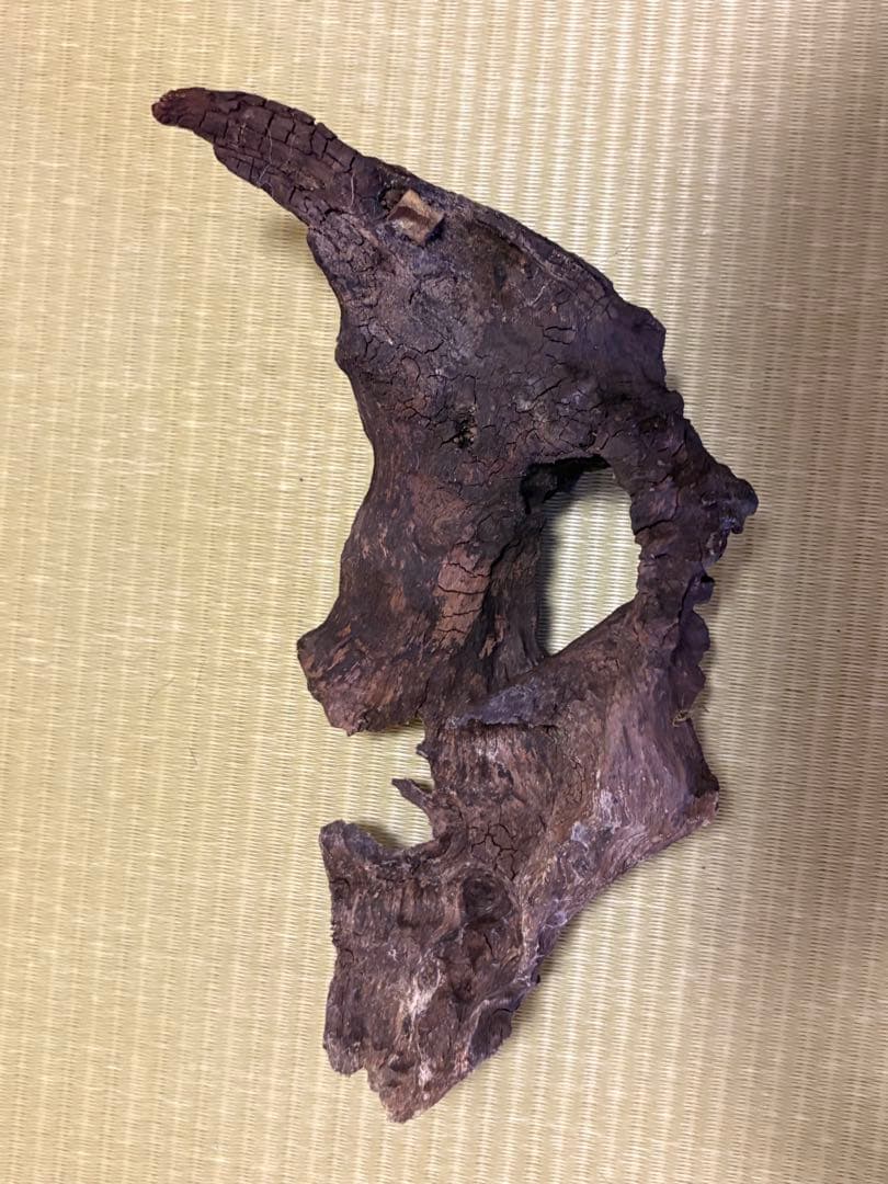 ADA ホーンウッド流木と小型流木