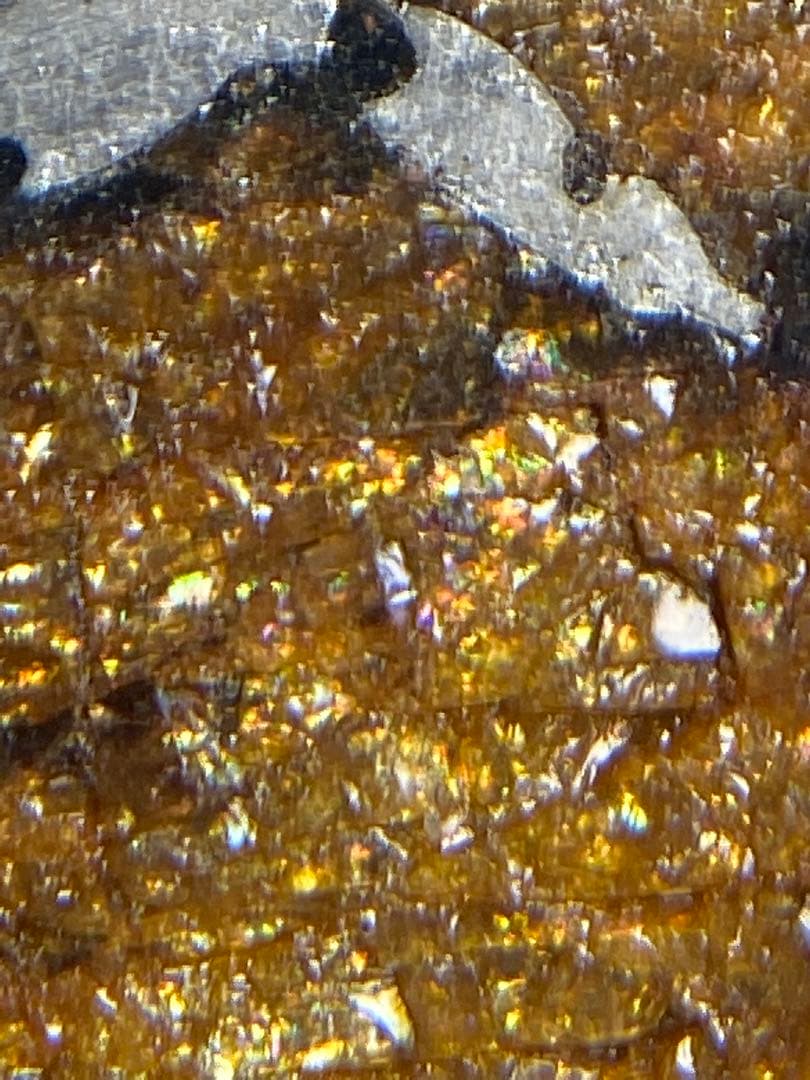 パラサイト隕石　Hassi el Biod 002　スライス　ケース　証明書付き