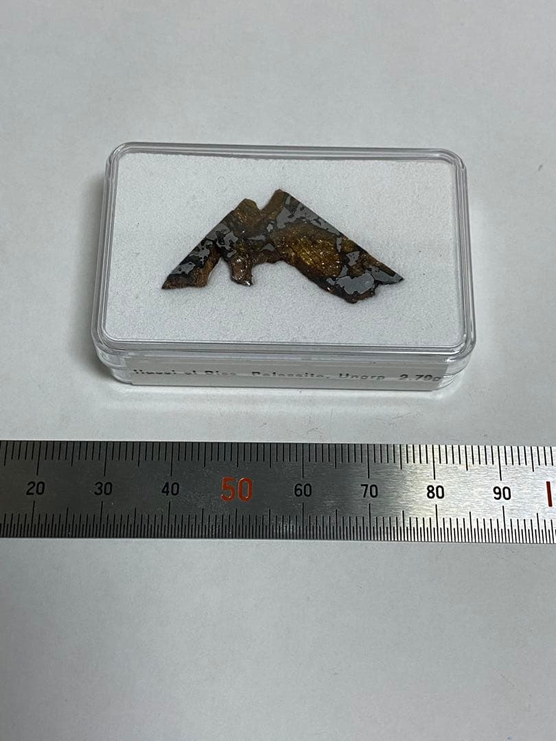 パラサイト隕石　Hassi el Biod 002　スライス　ケース　証明書付き