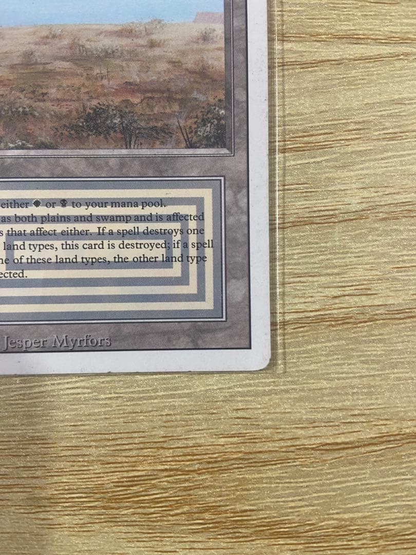 早いもの勝ち MTG Scrubland スクラブランド 3ED