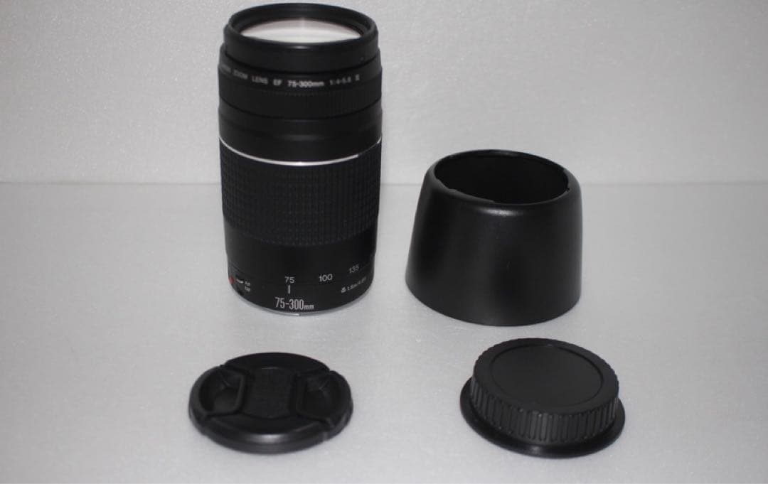 デジタル一眼レフカメラCanon EF75-300㎜F4-5.6 II