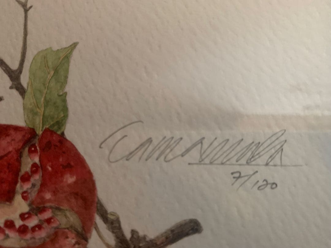 玉村豊男　リトグラフ　ザクロ 7/120