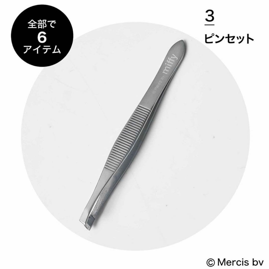 ちゅん太 管理 21 InRed インレッド 3月号 付録 ①
