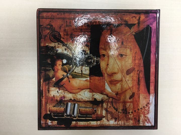 洋書　アントン・モルナー　画集　Gefrodinspex Collector