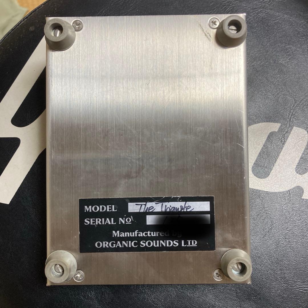 ギター Organic Sounds The Triangle