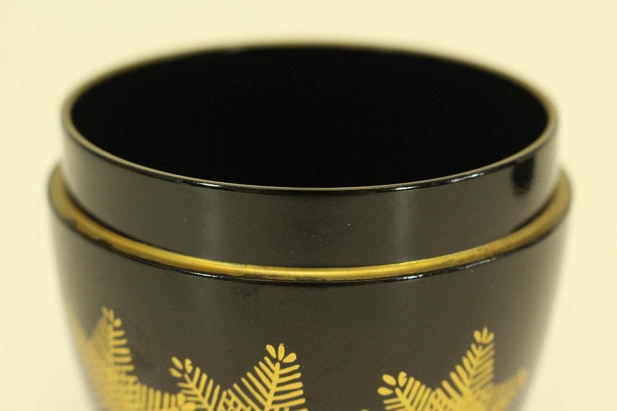 茶道具 シダ蒔絵 棗 お稽古 美品(A950)