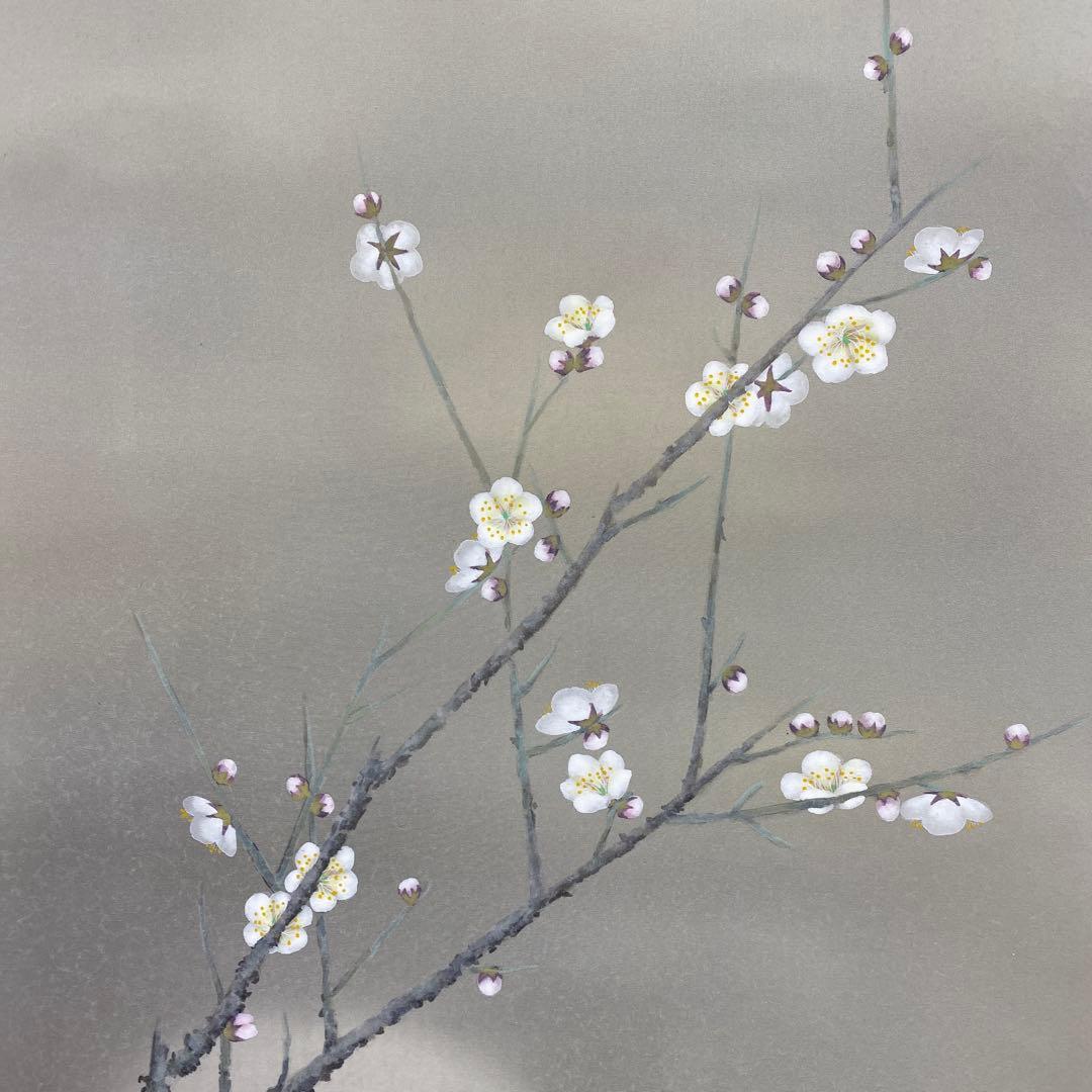 美品 掛け軸 柳沢寿江作 紅白梅図 共箱 太巻き 縁起物