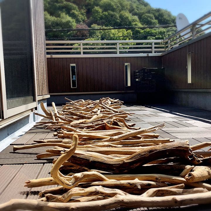 爬虫類等　流木レイアウトご相談ページ