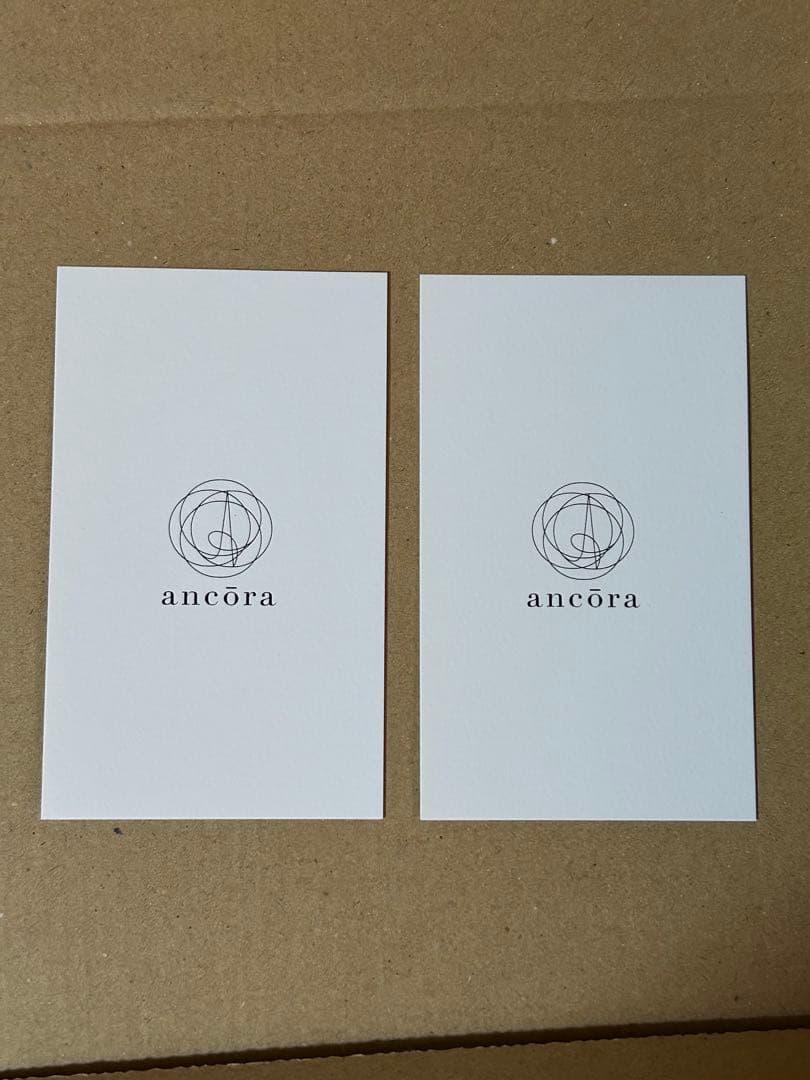 d*4様 mizutama 万年筆 アンコーラ 限定 ２本セット