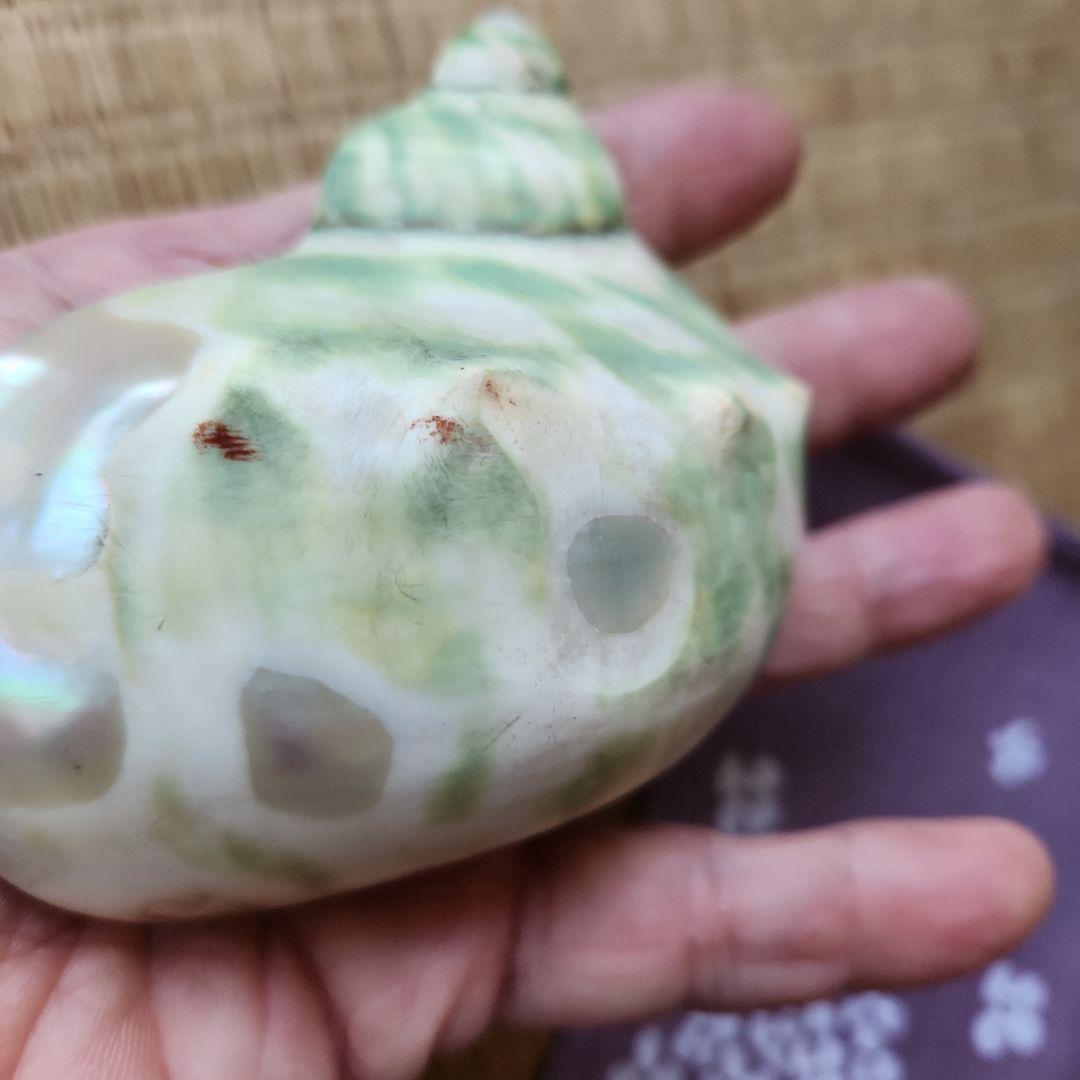 正光作　夜光貝？アンティーク工芸品
