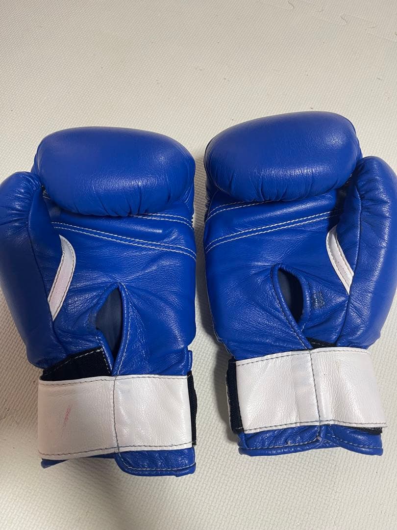 Winning ボクシングソフトグローブ 10 oz 青