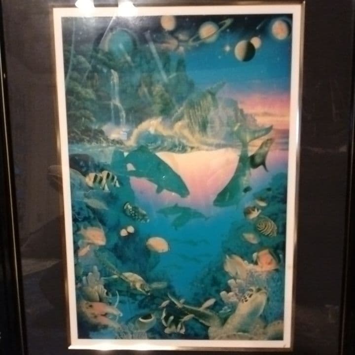 ★SALE★訳あり格安★本物です！★ラッセン★コスモス★65/225★送料込★