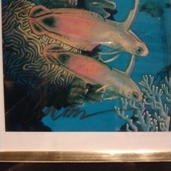 ★SALE★訳あり格安★本物です！★ラッセン★コスモス★65/225★送料込★