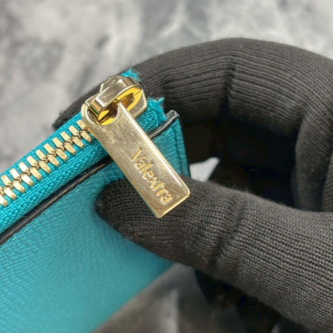 rinka(*˘︶˘*) ✨ ヴァレクストラ ケース